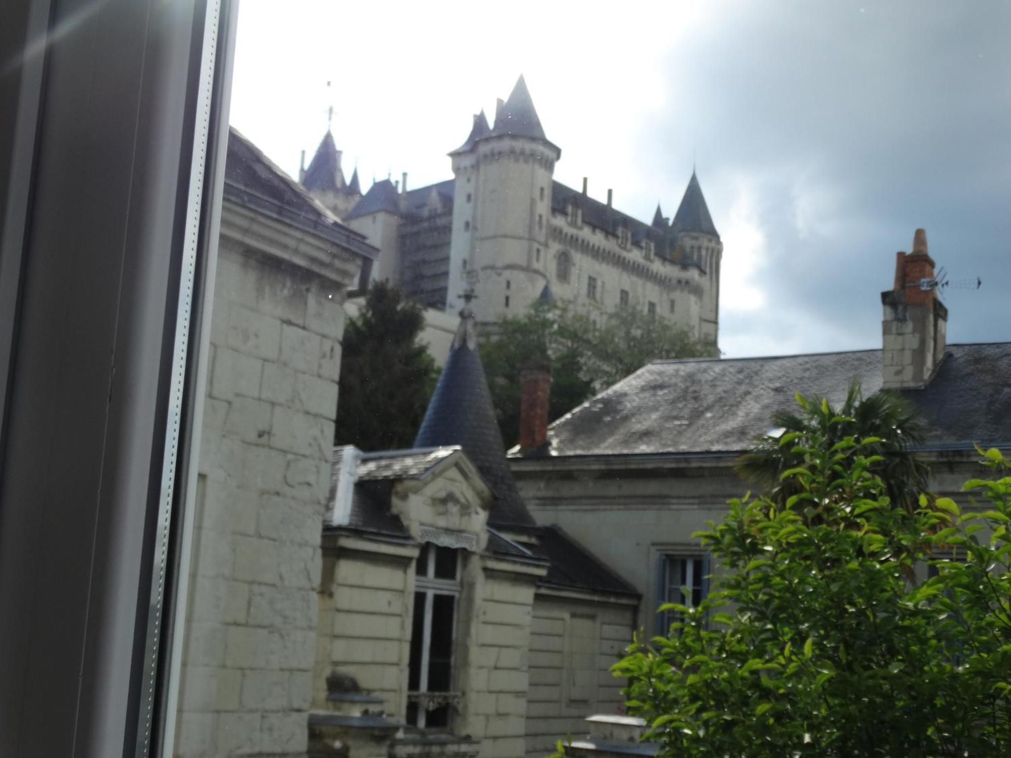 Vue Sur Chateau Et Loire Saumur Luaran gambar